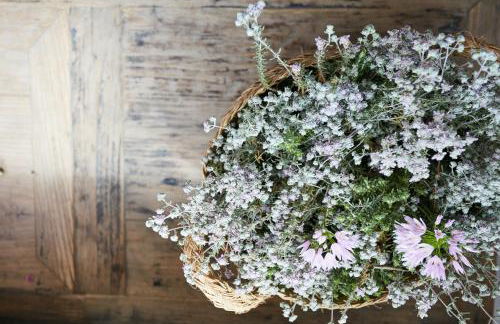 Can Tres Formentera - Foto 32