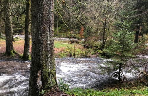 Chalet Au fil de l'eau - Foto 15