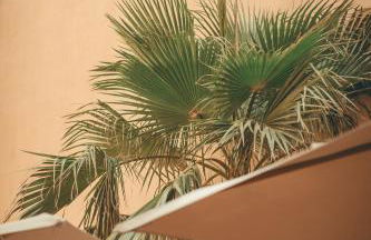 La Maison des Lamanon - Foto 25