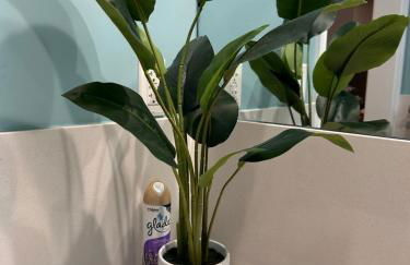 San Francisco 3BR3BA w free parking near airport - Foto 21