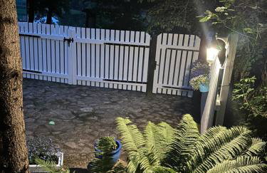 Kwiat Paproci - Foto 56