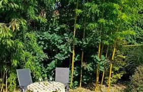 Ferienwohnung "Am Waldsaum" - Foto 6