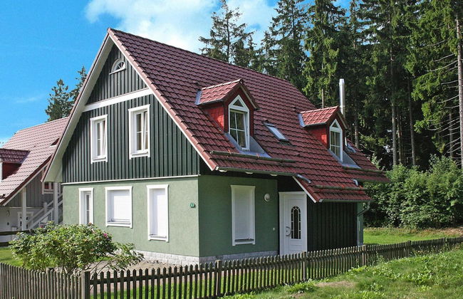 Holiday Home in Harz With Pool & Sauna - Foto 33