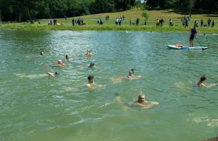 Cosy Cabin - Heart of Beckenham - Foto 13