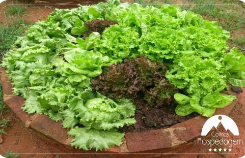 Hospedagem Colinas - Foto 25