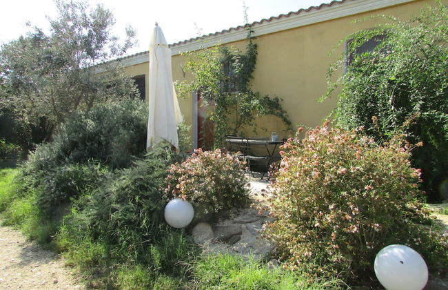 Cavalli di S'Arcaite - Foto 54