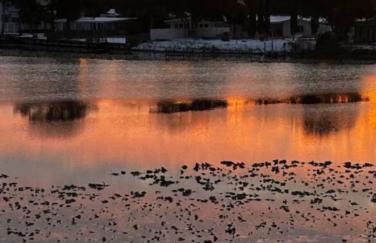 Susie Q's Beach Retreat by Sand Seeker Vacations - Photo 23