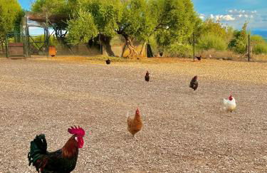 Complejo Rural Mirador de la Alcaidía - Foto 80