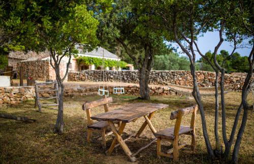 Holiday house with a parking space Humac, Hvar - 8805 - Photo 14