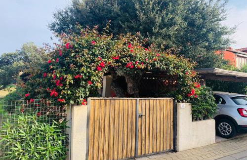 Relax in Olbia Apartment with Private Garden 2 Bedrooms - Photo 1