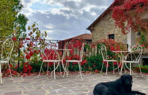 Podere I Massoni - Foto 4