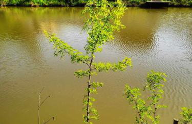 Siedlisko Sielska Dolina Nad Stawem luksusowy domek całoroczny z fińską sauną - Foto 30