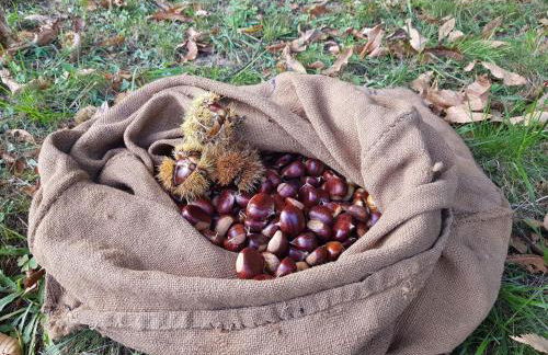 Il Sogno Della Vita AgriResort - Country Rooms & Suites - Foto 25