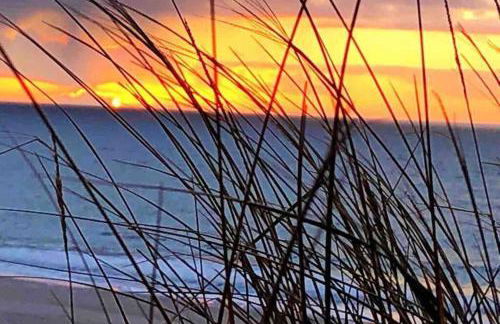 Gemütliche Wohnung unter Reet mit Pool und Sauna in Keitum - Photo 33