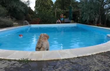 Podere Gli Oppi Toscana - Foto 64