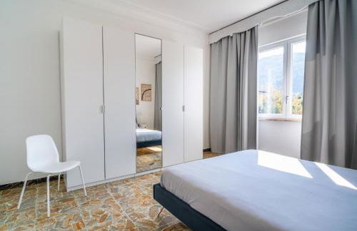 Helianthus - Photo 18