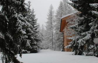 Residenza Larici - Foto 12