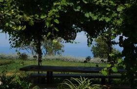 JATU Retreat - Photo 30
