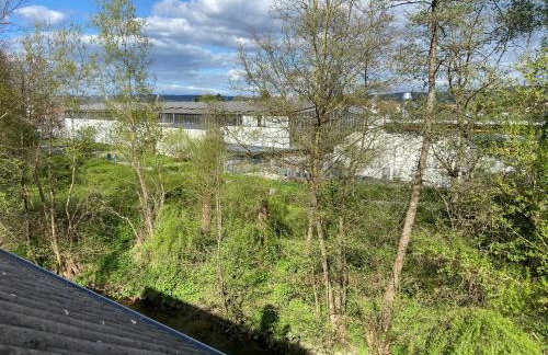 Ferienwohnung am Erbacher Mümlingufer - Foto 17