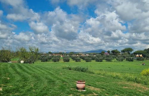 Agriturismo Farfollíe - Foto 16