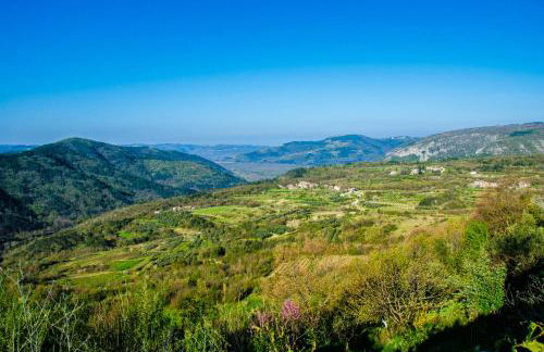 Country House Ana - Photo 6