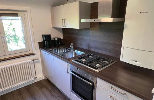 Ferienwohnung an der Erms - Foto 6