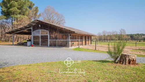 Studio "La Citrie" Terrasse, chevaux et nature - Foto 2, Garden, Garden view