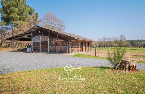 Studio "La Citrie" Terrasse, chevaux et nature - Foto 2
