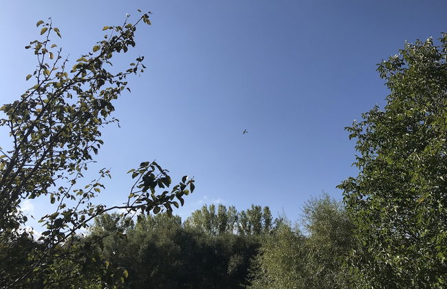 Oasi del Vetoio - Photo 22