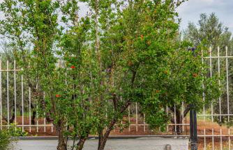 KrinesGReece - Foto 49