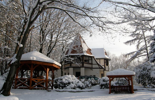 Lawendowe Wzgórze - Foto 36