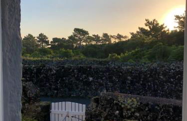 Casa 3 Picos 1 - Photo 46