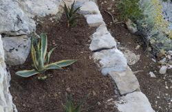 House on Punta - Photo 44