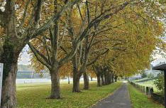 Gemütliche zwei Zimmer Wohnung am Rhein - Foto 15