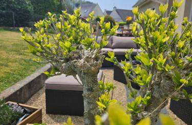 Ty Pesked Ru - Foto 32