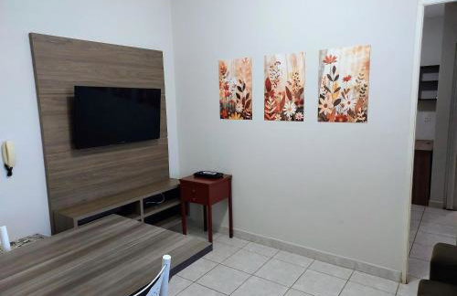 Flat Pé de Mamão - Photo 2