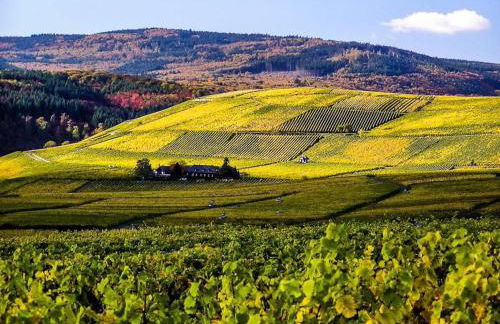 Gemütliche Wohnung in Ortsrandlage - Foto 39