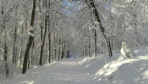 Attendorner Burgblick - Foto 2