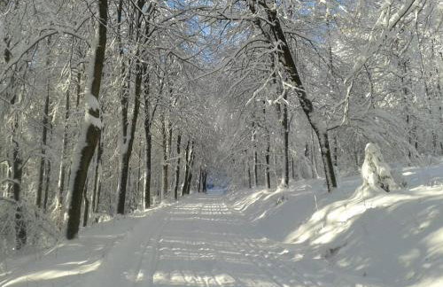 Attendorner Burgblick - Photo 18