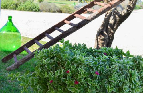 Agriturismo Residenza Gemma - Foto 19