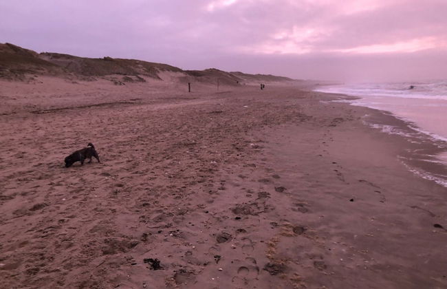 Chic Beachside Stay w/ Sauna - Foto 26