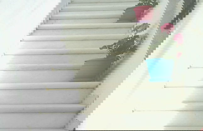 Gatis House - Photo 58