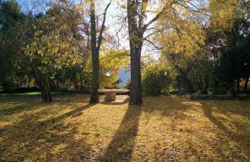 Le Mas Sérénité - Foto 64