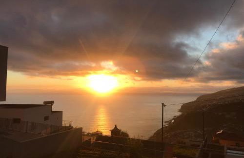 Palheirinho da Achada - Foto 3