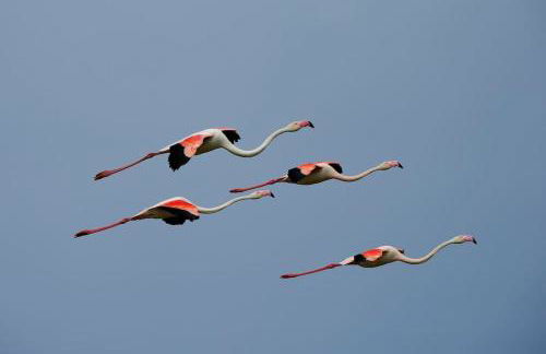 Studio Chaleureux niché au cœur des Salins - Foto 20