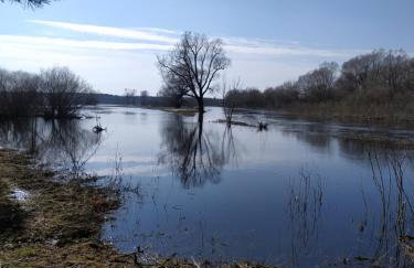 Dom wakacyjny - Foto 17