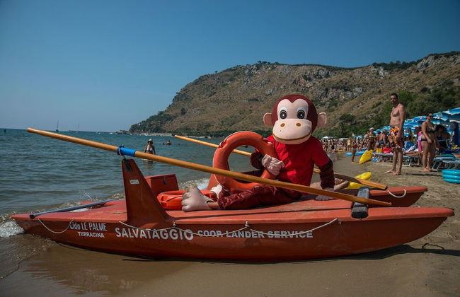 Le Palme Village - Foto 59