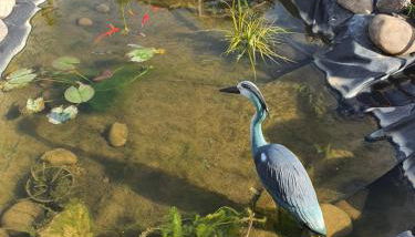 Le nid’Ange - Foto 2, Garden