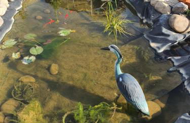 Le nid’Ange - Foto 2