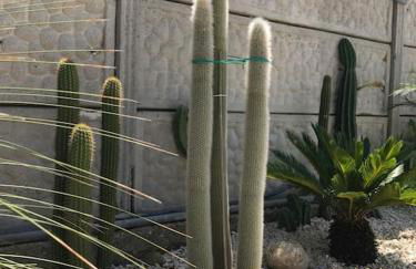 Scala dei Turchi The White Wall - Foto 10